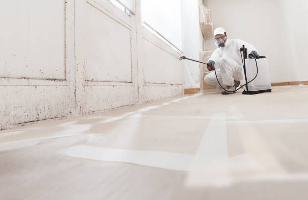 24/7 Emergency Mold Remediation experts in Spring Branch, TX
